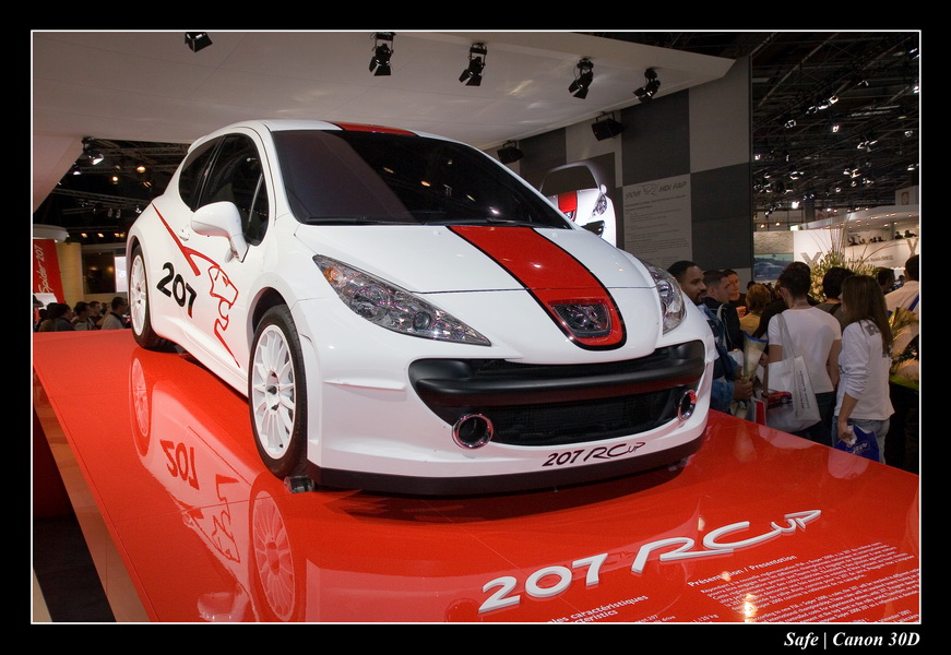 2006 - 10 - Mondial auto Paris 267